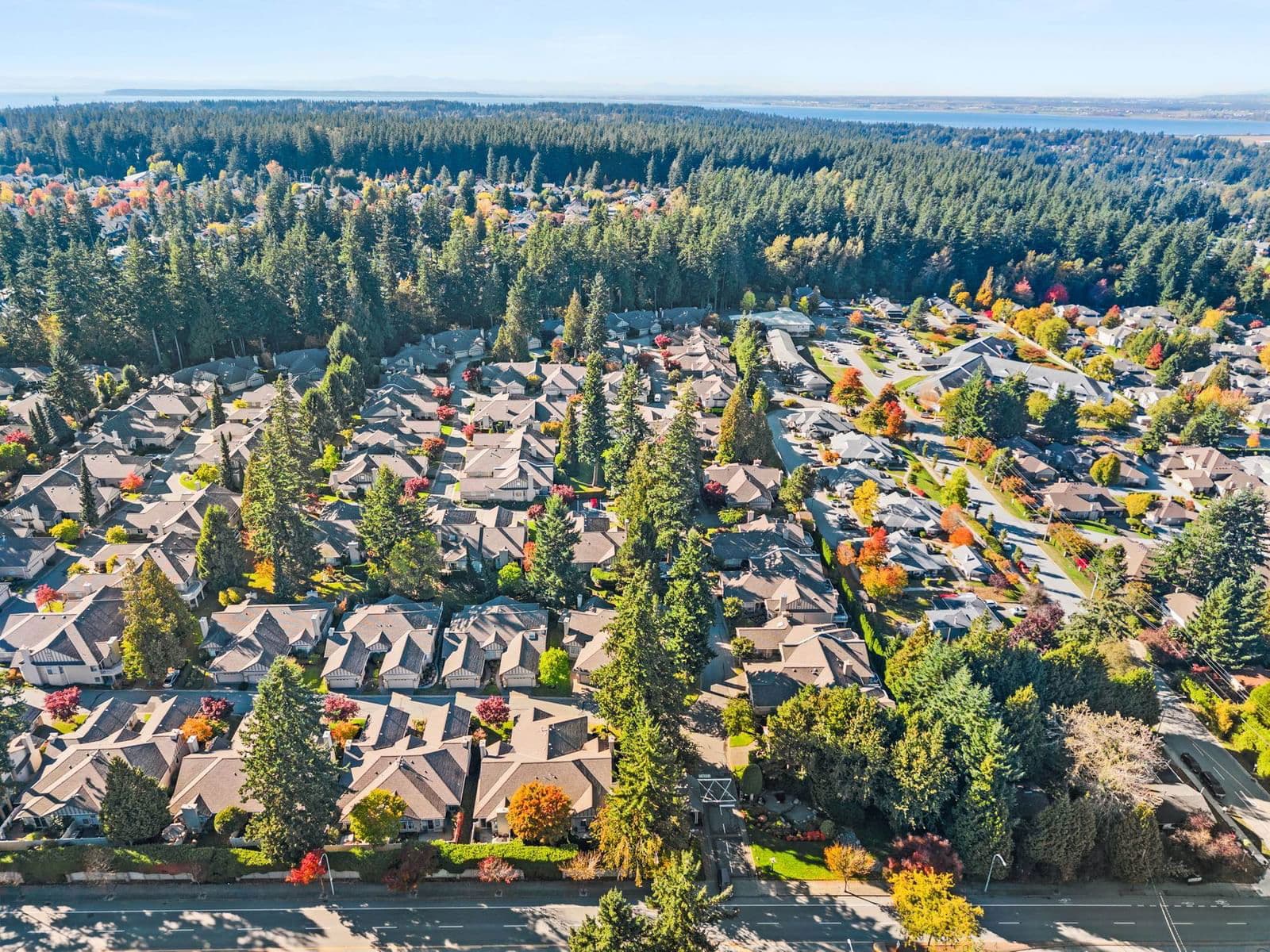 PublicWebsiteListing image 3